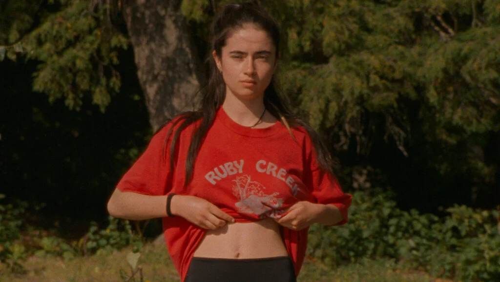 アマプラ 2026年2月 おすすめ映画:ファルコン・レイク